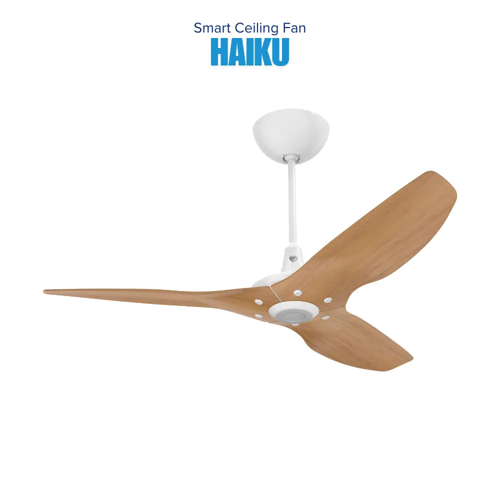 smart-fans-39.webp
