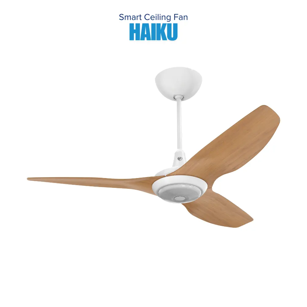 smart-fans-40.webp