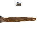 LINES-1home-web-2025.webp